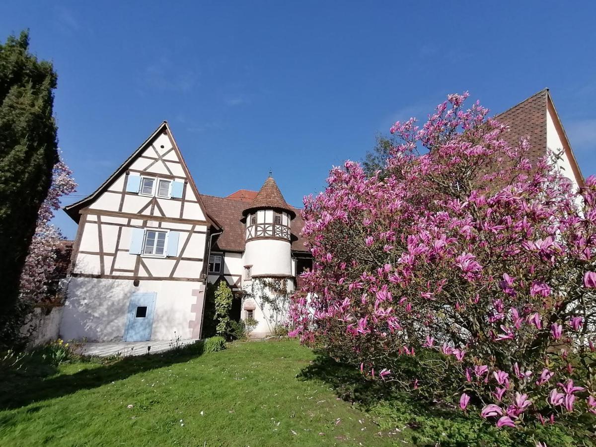 Maison Kobold Xvie Siecle Wissembourg Exterior photo